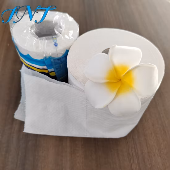 Carta igienica Coreless Roll Paper del produttore cinese