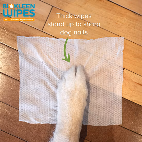 Salviette umidificate antisettiche e deodoranti per la cura degli animali domestici in materiale non tessuto super morbido e salviette per le orecchie dei cani