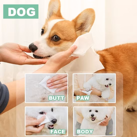 Regolazione di base: neonati/adulti/animali domestici, antibatterico/disinfettante/disinfettante/alcool/struccante, detergente viso lavabile, asciugamani/salviette umidificate
